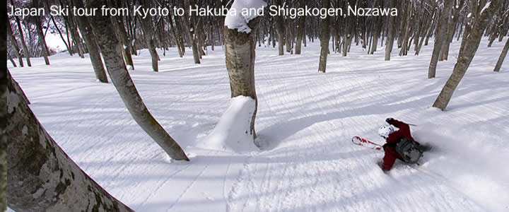 HAKUBA and SHIGA KOGEN,NOZAWA travel guide,Japan snow resorts,ski & snowbroad.