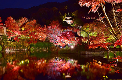 Eikan-dō autumn leaves