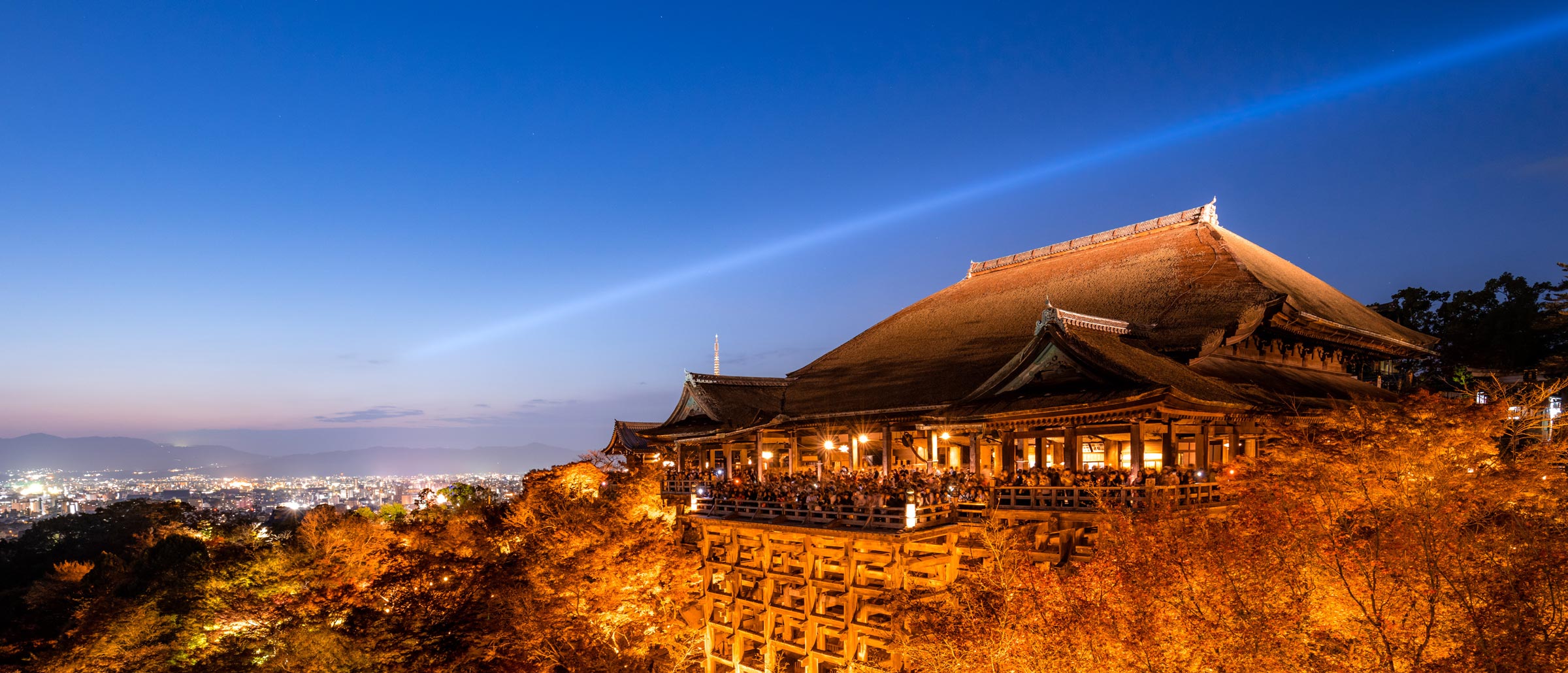 Maple leaves lit at night in Kyoto