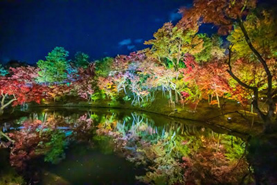 Kōdai-ji at night