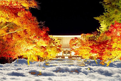 Ninna-ji autumn