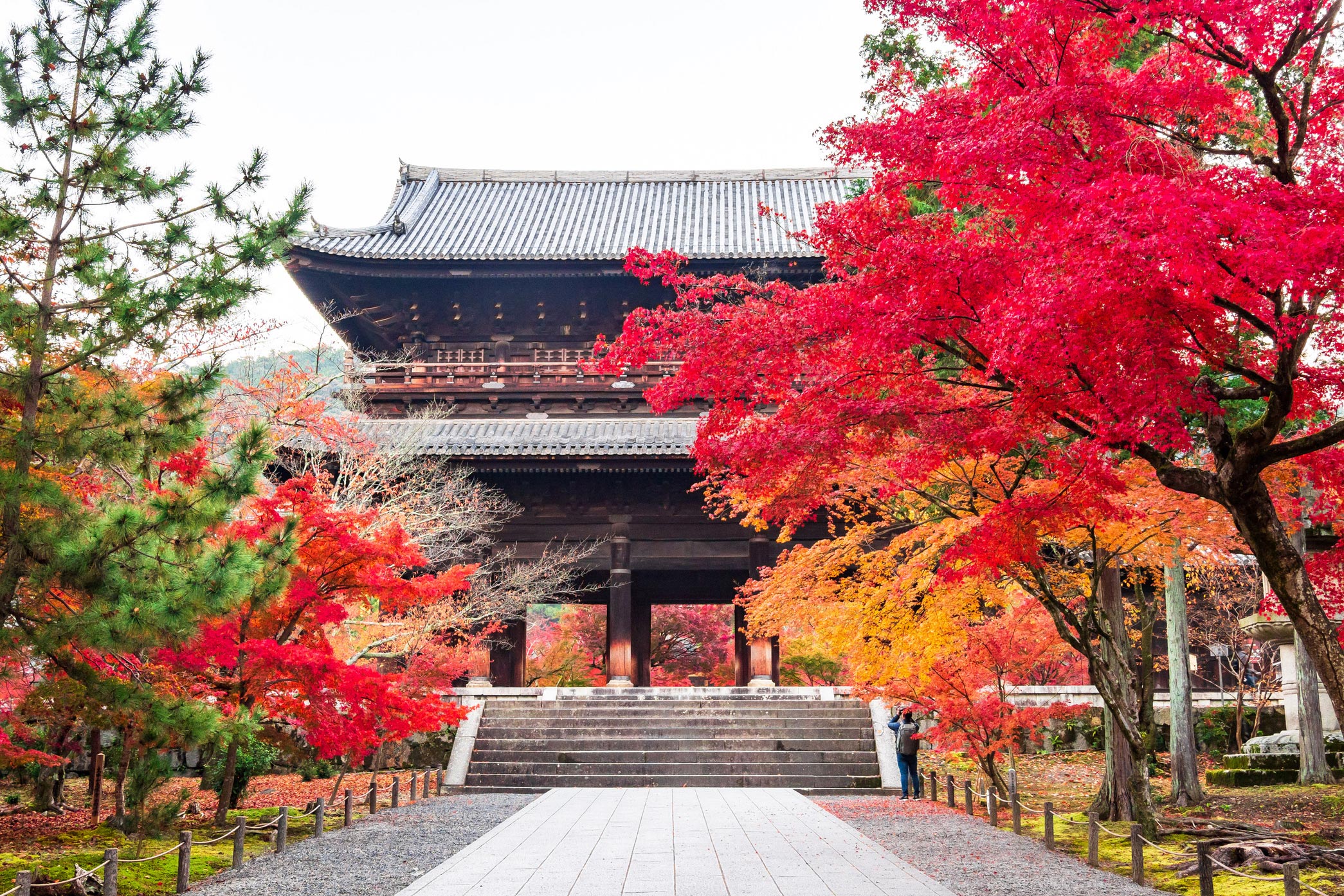Descubriendo Japón